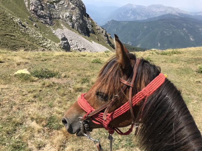 Auf den Spuren der Miyak