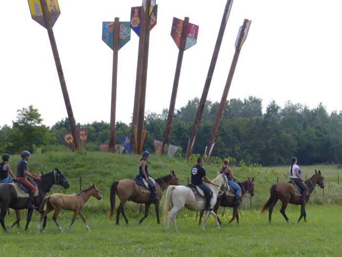 Sternritte durch die ungarische Steppe