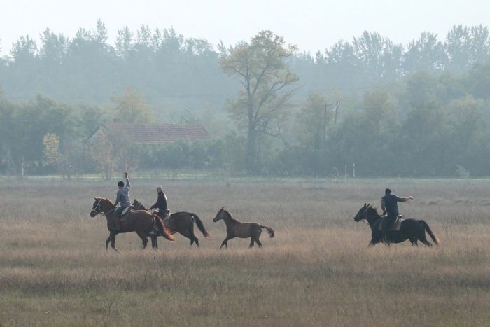 Sternritte durch die ungarische Steppe