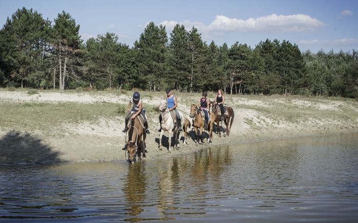 Sternritte durch die ungarische Steppe