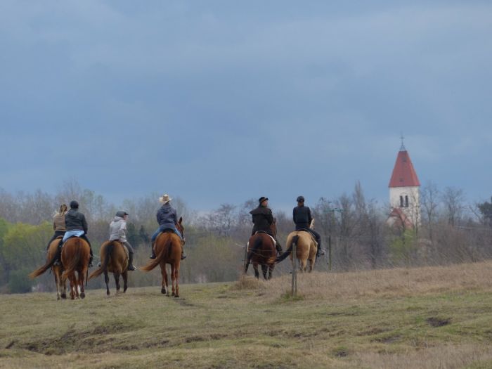 Sternritte durch die ungarische Steppe