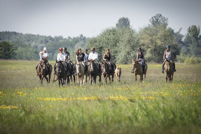 Sternritte durch die ungarische Steppe