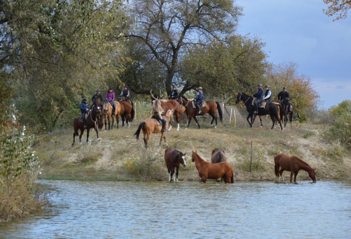 Sternritte durch die ungarische Steppe