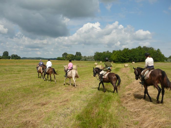 Sternritte durch die ungarische Steppe