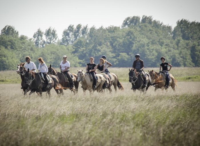 Sternritte durch die ungarische Steppe