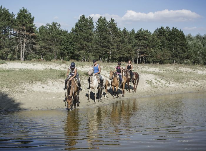 Sternritte durch die ungarische Steppe
