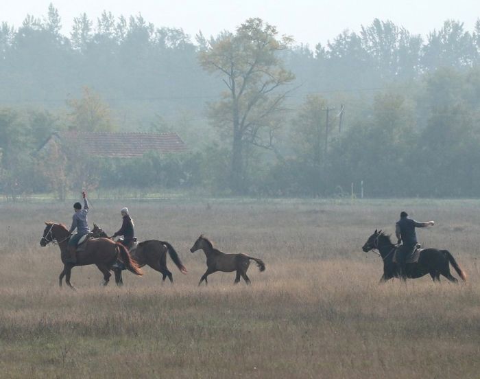 Sternritte durch die ungarische Steppe
