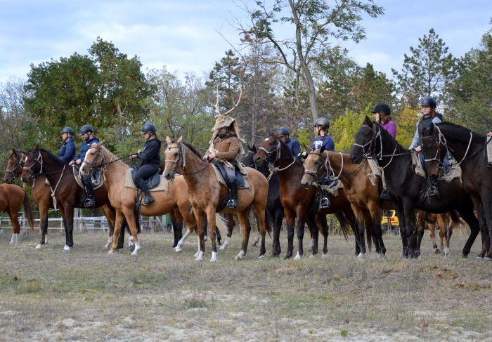 Sternritte durch die ungarische Steppe