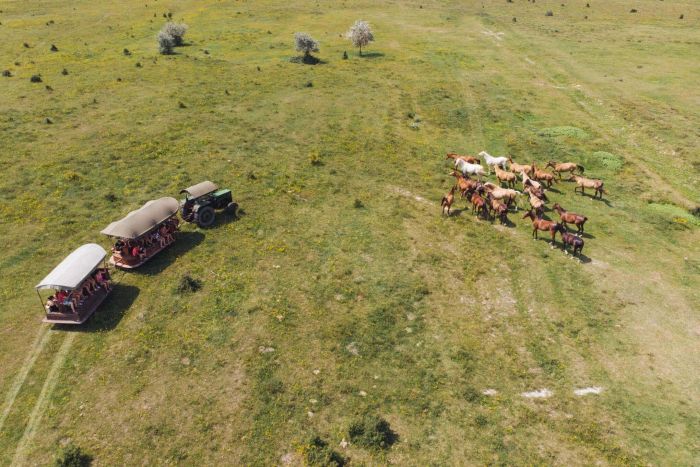 Sternritte durch die ungarische Steppe