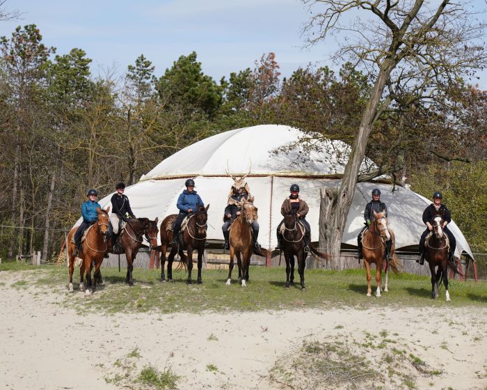 Sternritte durch die ungarische Steppe