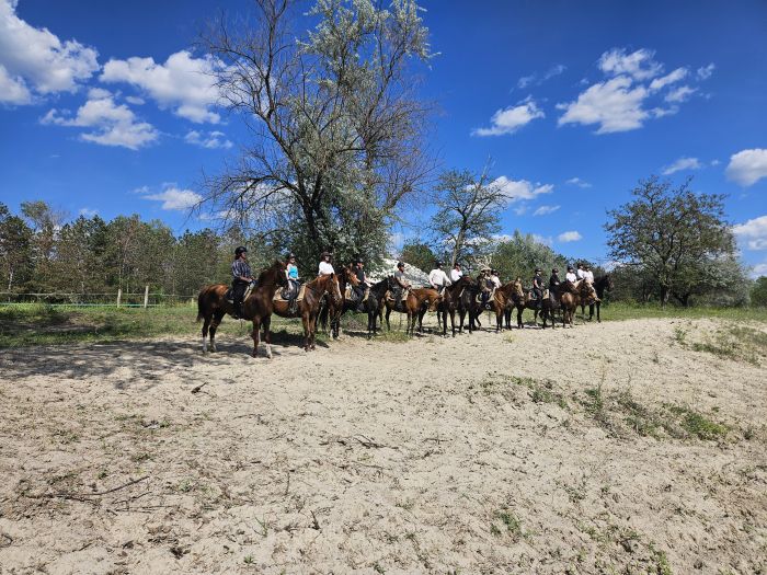 Sternritte durch die ungarische Steppe