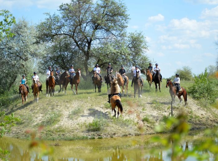 Sternritte durch die ungarische Steppe