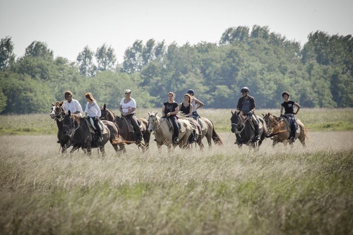 Sternritte durch die ungarische Steppe