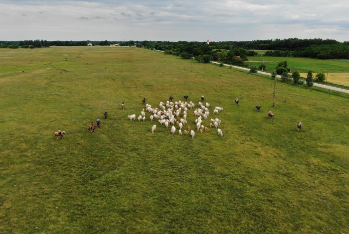Sternritte durch die ungarische Steppe