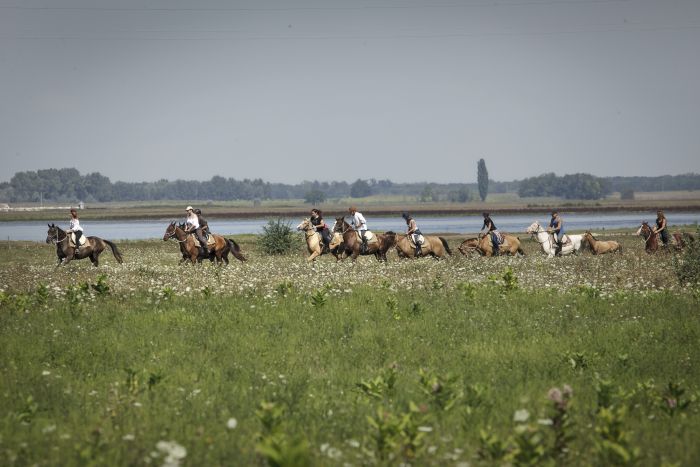 Sternritte durch die ungarische Steppe