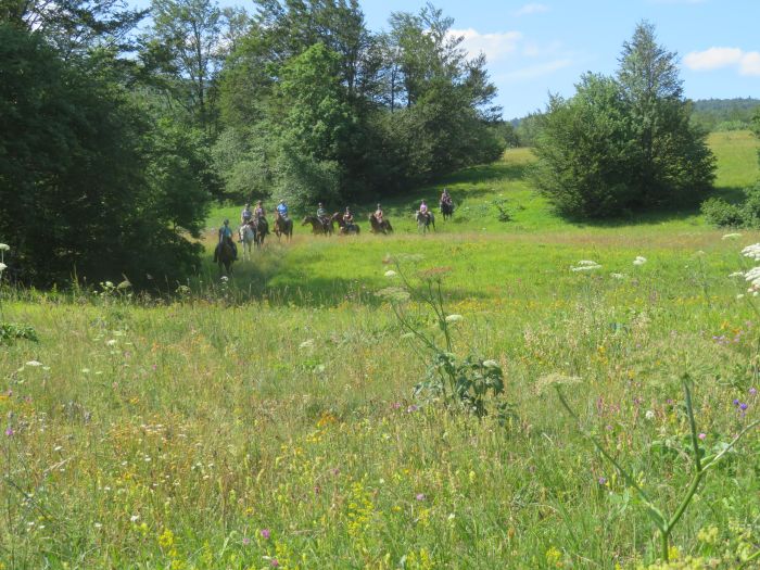 Plitvice Trail - Reittour durch das Land der fallenden Seen