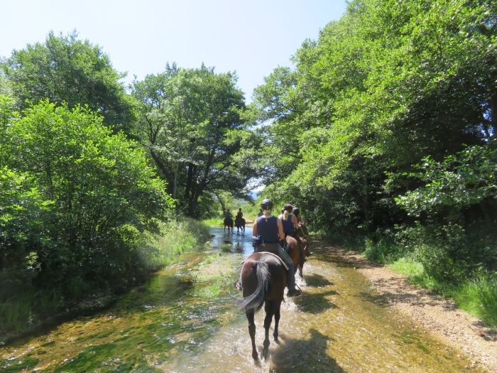 Plitvice Trail - Reittour durch das Land der fallenden Seen