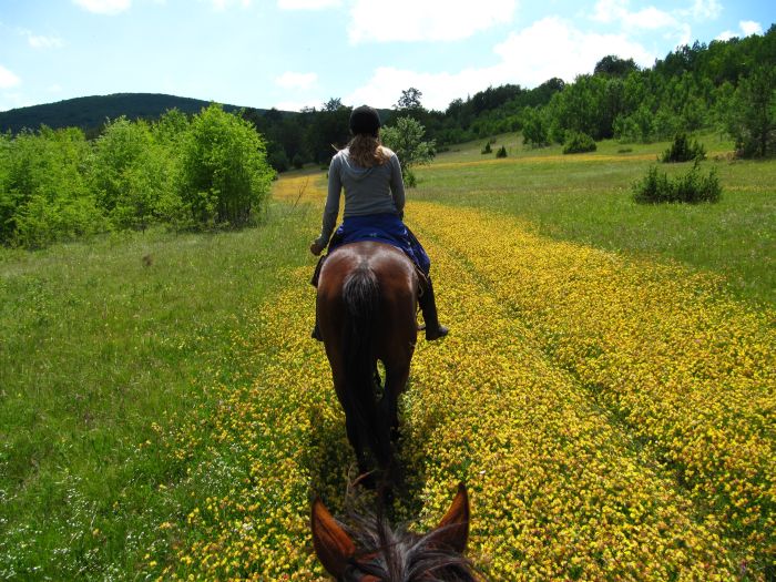 Plitvice Trail