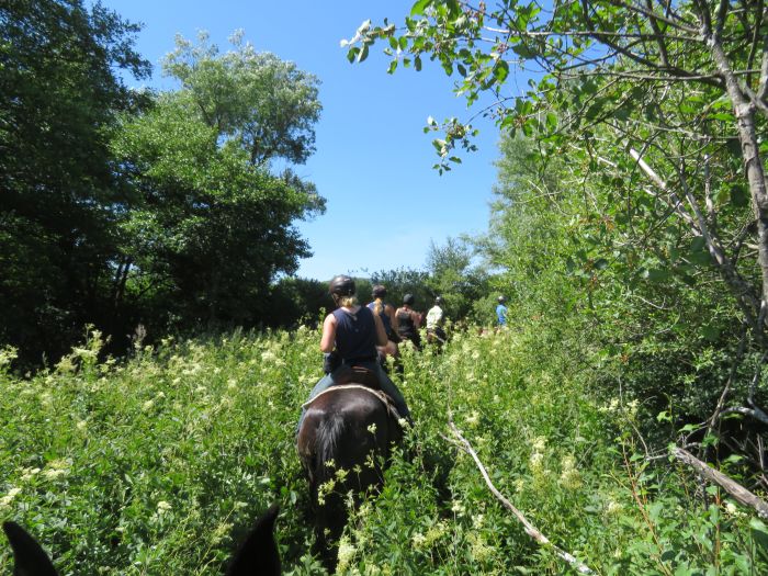 Plitvice Trail - Reittour durch das Land der fallenden Seen