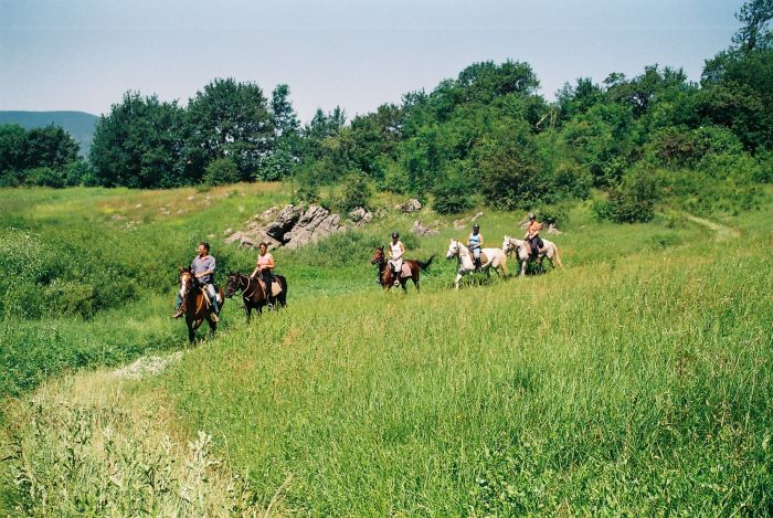 Plitvice Trail