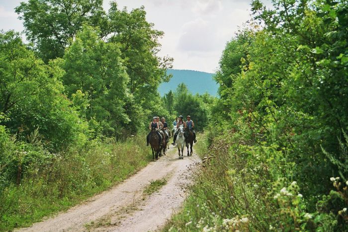 Plitvice Trail - Reittour durch das Land der fallenden Seen
