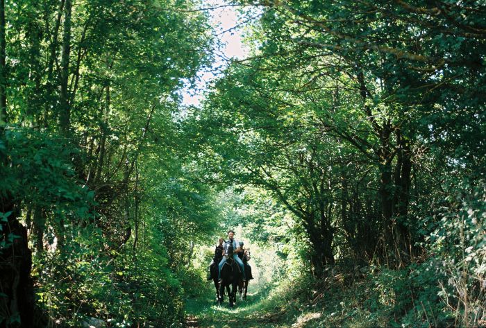 Plitvice Trail - Reittour durch das Land der fallenden Seen