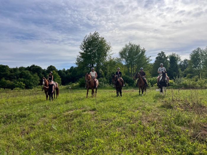 Sternritte in der Plitvice Region