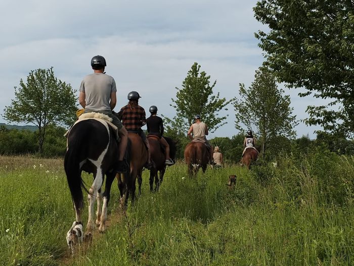 Sternritte in der Plitvice Region