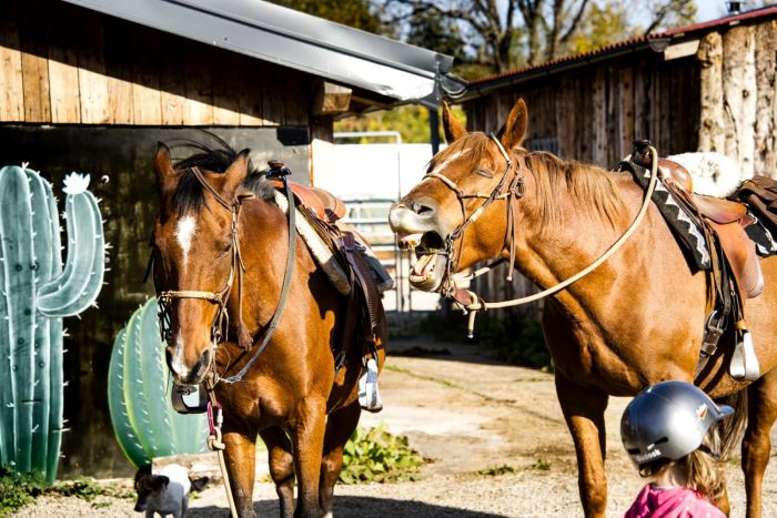 Sternritte in der Plitvice Region