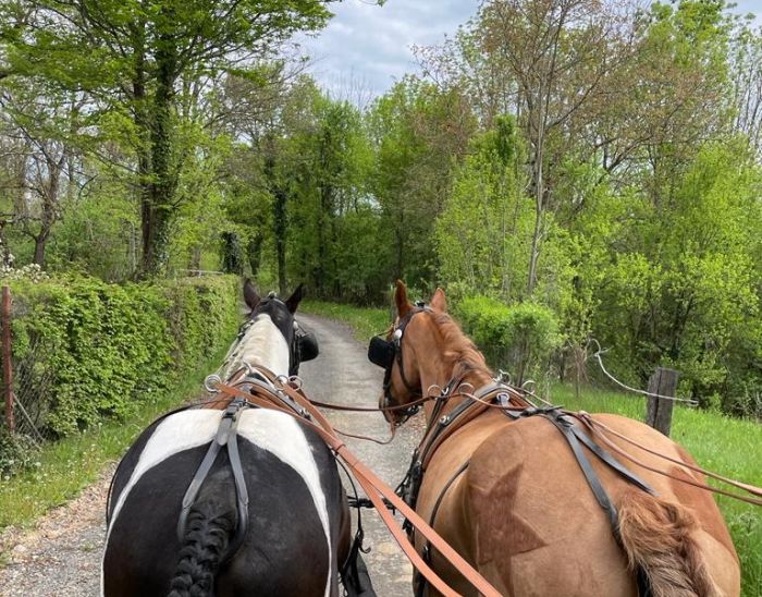 Sternritte in der Plitvice Region