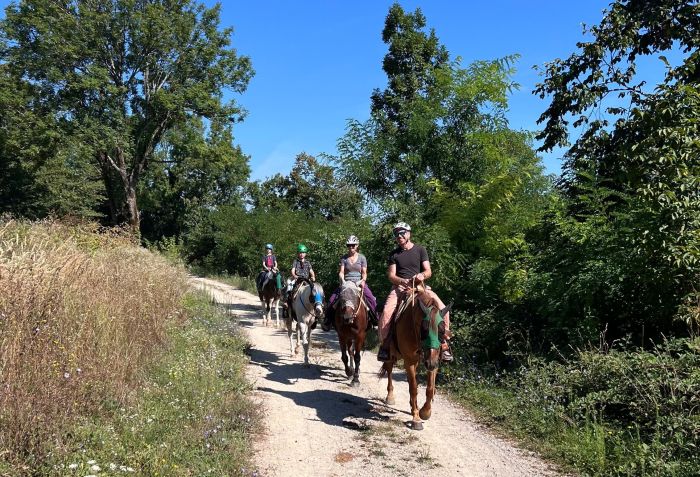 Sternritte in der Plitvice Region