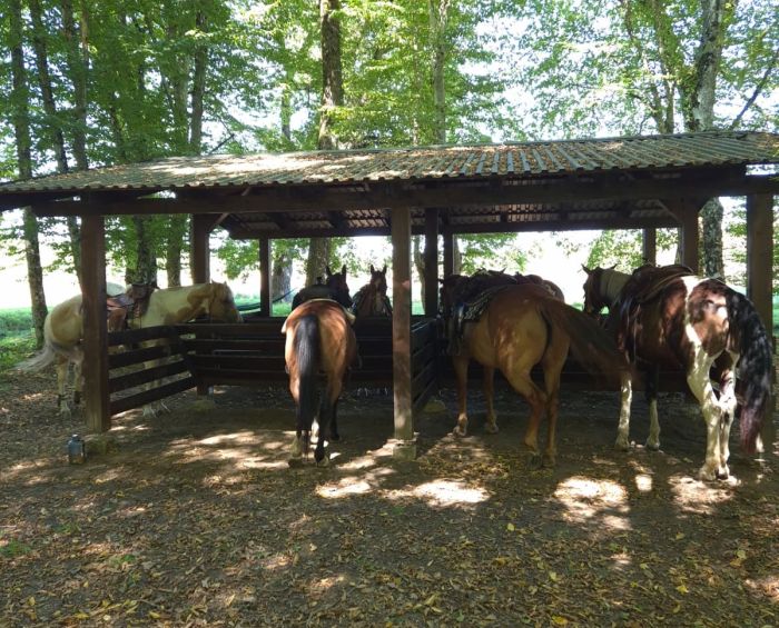 Sternritte in der Plitvice Region