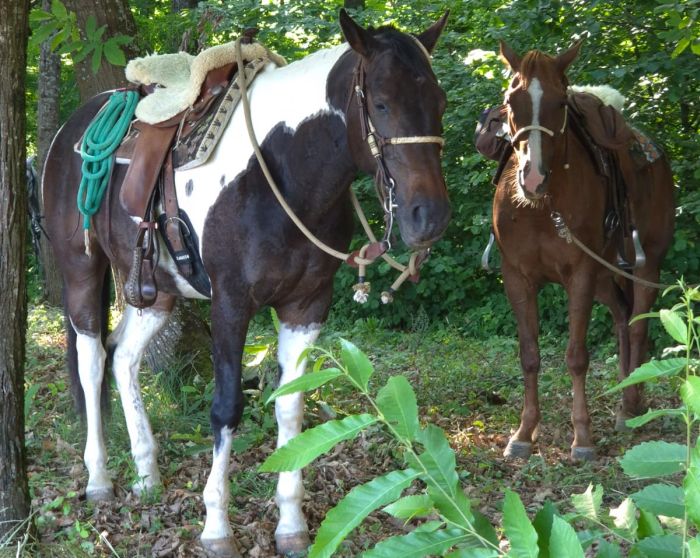Sternritte in der Plitvice Region