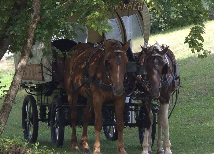 Sternritte in der Plitvice Region