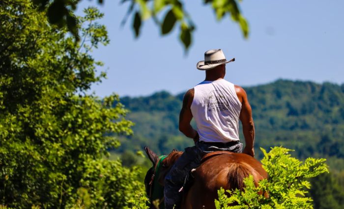 Sternritte in der Plitvice Region