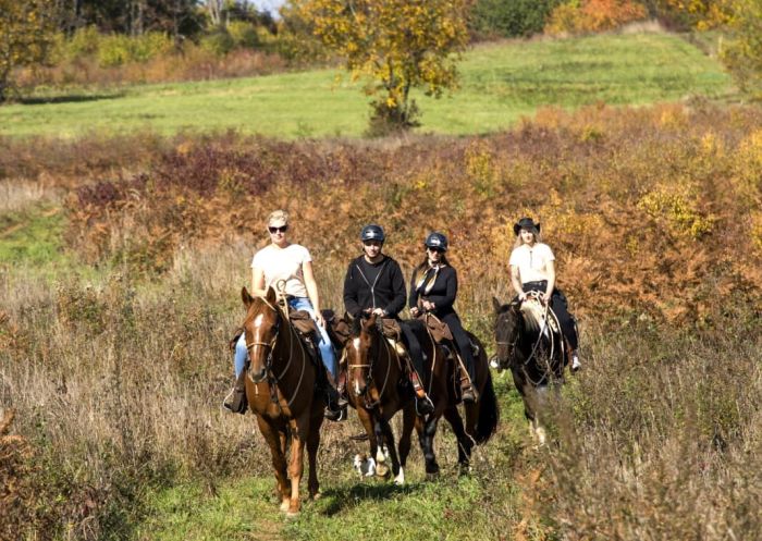 Sternritte in der Plitvice Region