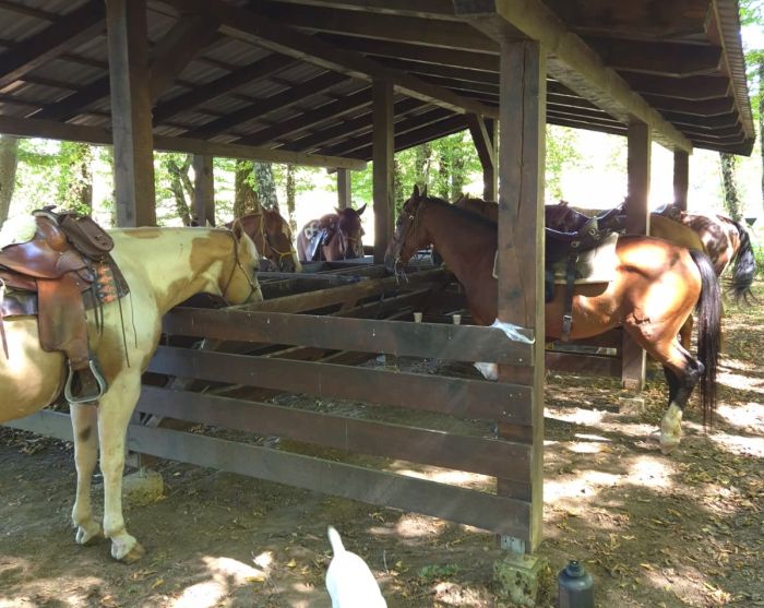 Sternritte in der Plitvice Region