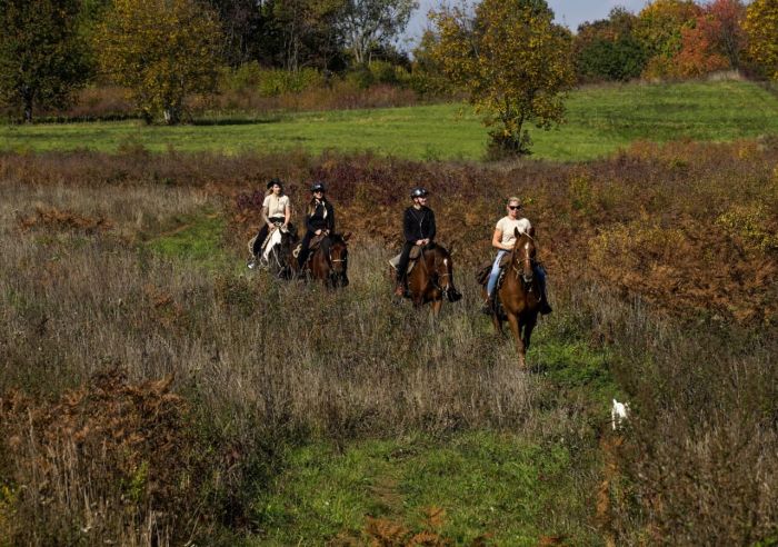 Sternritte in der Plitvice Region