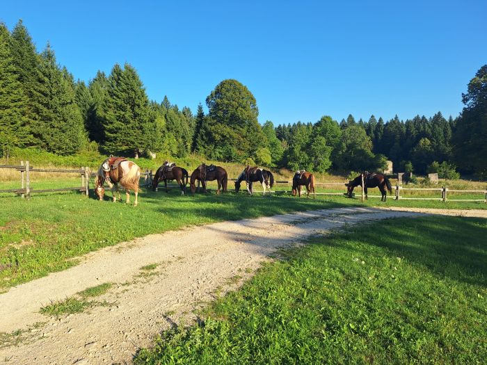 Sternritte in der Plitvice Region