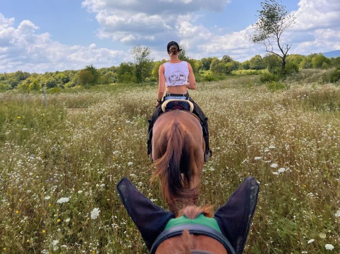 Sternritte in der Plitvice Region