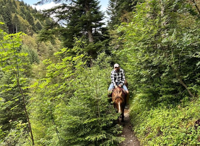 Sar Planina Abenteuerritt