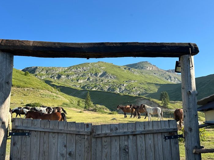 Sar Planina Abenteuerritt