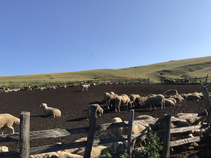 Sar Planina Abenteuerritt