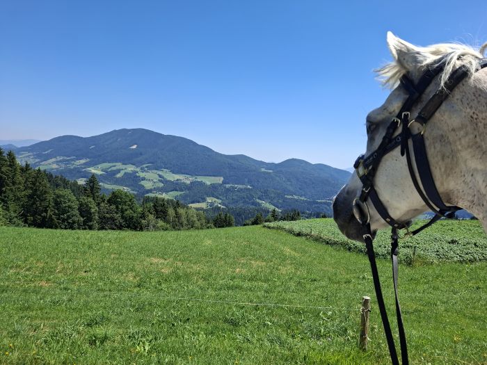 Slowenien-Bergtrail