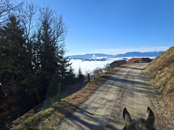 Slowenien-Bergtrail