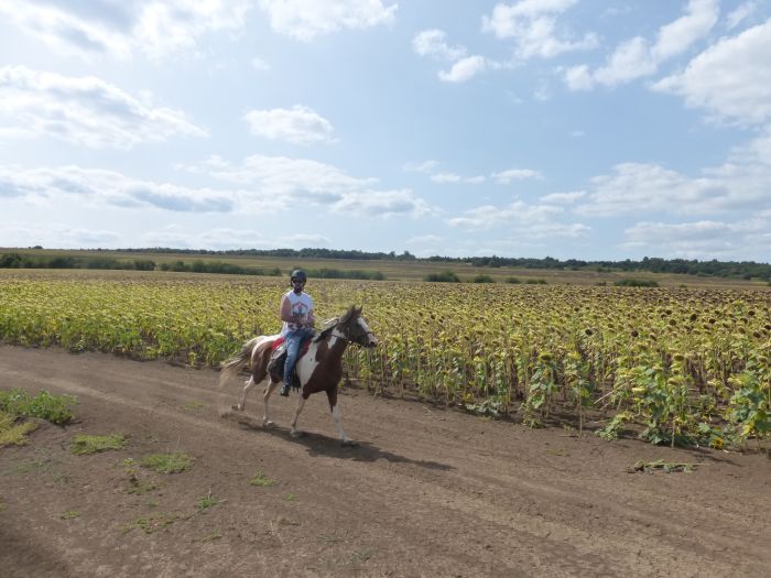 Devetaki Plateau im Galopp