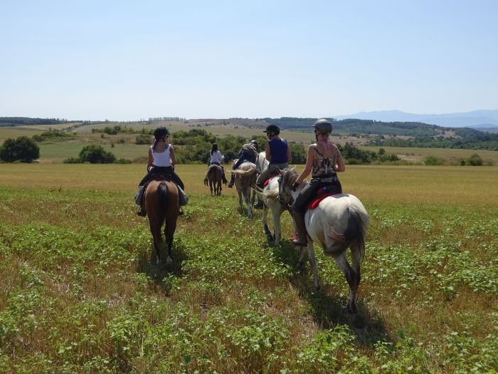 Devetaki Plateau im Galopp