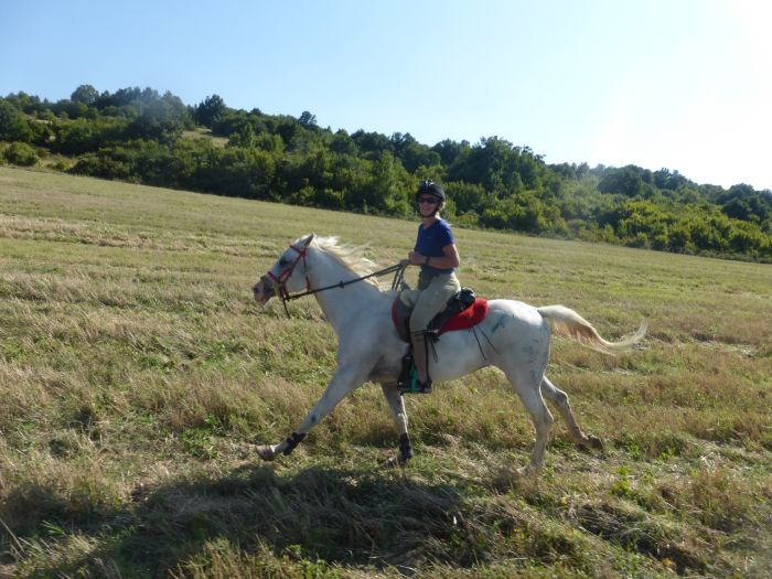 Devetaki Plateau im Galopp