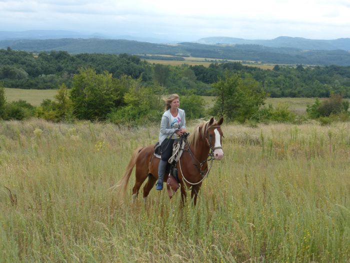 Devetaki Plateau im Galopp