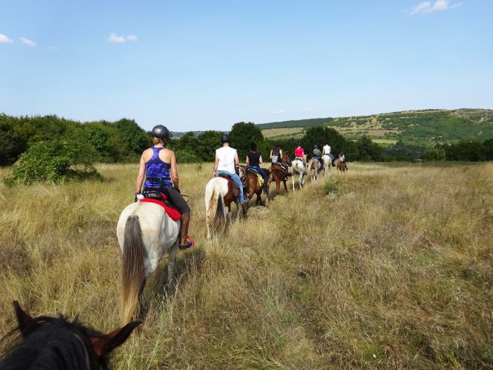 Devetaki Plateau im Galopp